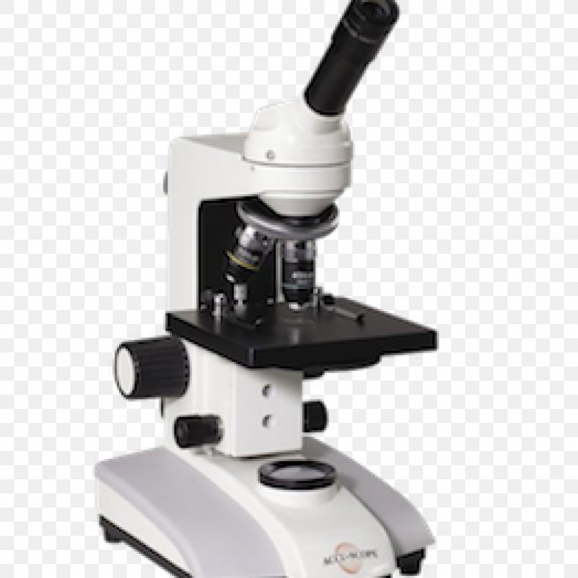 Stereo Microscope Cell Accu Scope Inc Achromatic Lens, PNG, 1024x1024px, Microscope, Accu Scope Inc, Achromatic Lens, Biology, Cell Download Free