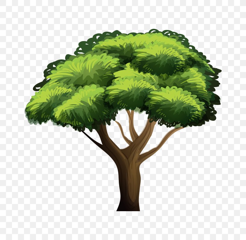 Tree Royalty-free Illustration, PNG, 800x800px, Tree, Arecaceae, Drawing, Flowerpot, Grass Download Free