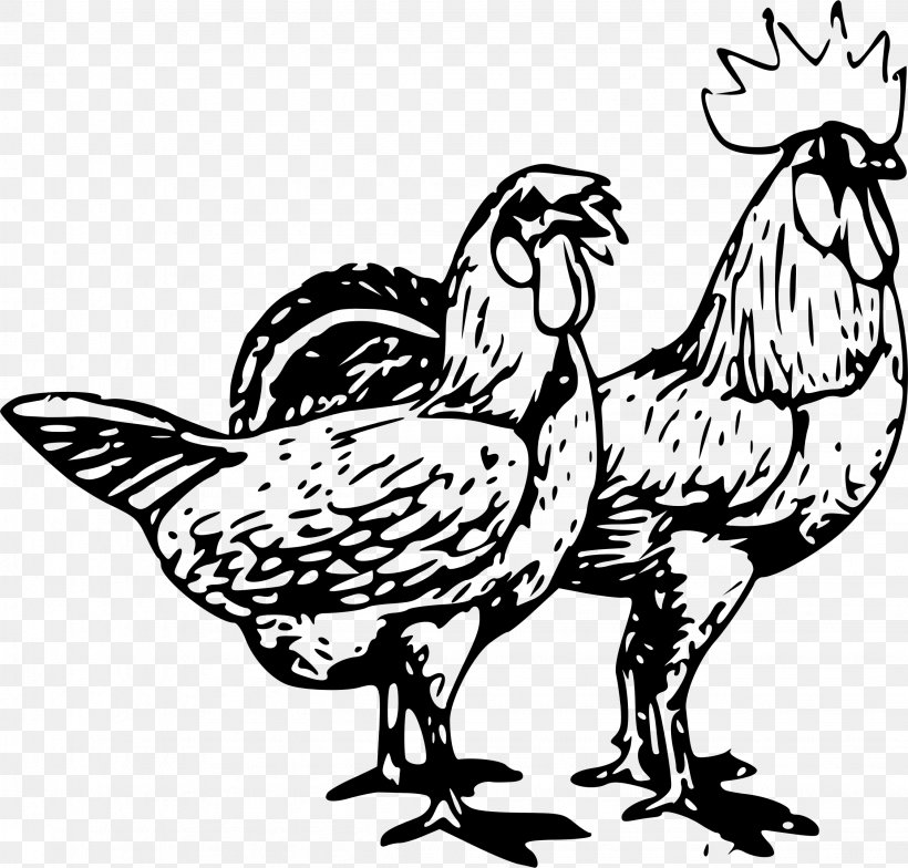 Chicken Rooster Clip Art, PNG, 2249x2153px, Chicken, Art, Artwork, Beak, Bird Download Free