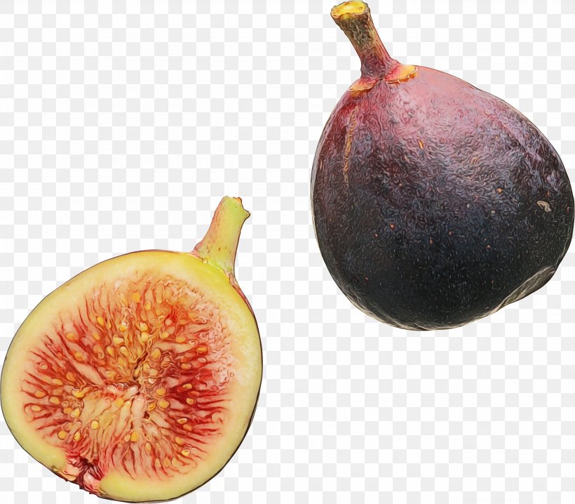 Common Fig Fruit Natural Foods Plant Food, PNG, 2547x2231px, Watercolor, Accessory Fruit, Common Fig, Fig, Food Download Free