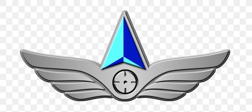 Electrostatics Dassault Mirage III Force IAI Nesher IAI Kfir, PNG, 769x364px, Electrostatics, Dassault Mirage Iii, Electric Charge, Emblem, Force Download Free