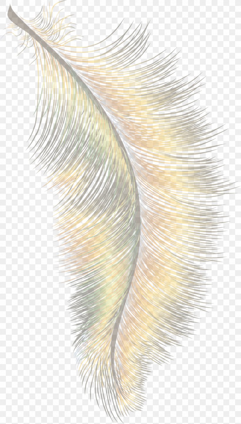 Feather Cartoon Wing, PNG, 912x1607px, Feather, Cartoon, Close Up, Closeup, Copyright Download Free