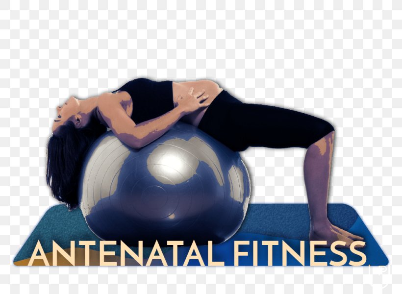 Fitolicious Pilates Exercise Balls, PNG, 790x600px, Pilates, Abdomen, Arm, Balance, Exercise Download Free