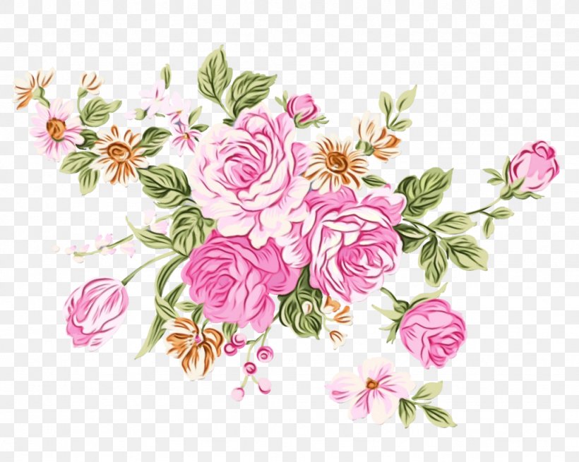 Garden Roses International Women S Day Cabbage Rose Moscow Yandex