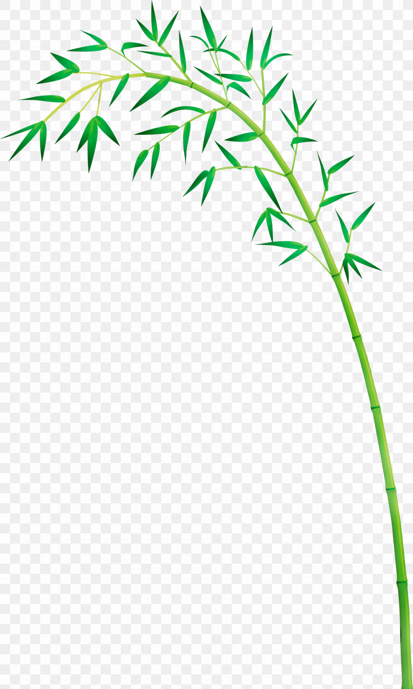 Leaf Plant Plant Stem Grass Grass Family, PNG, 1796x3000px, Bamboo, Flower, Grass, Grass Family, Leaf Download Free