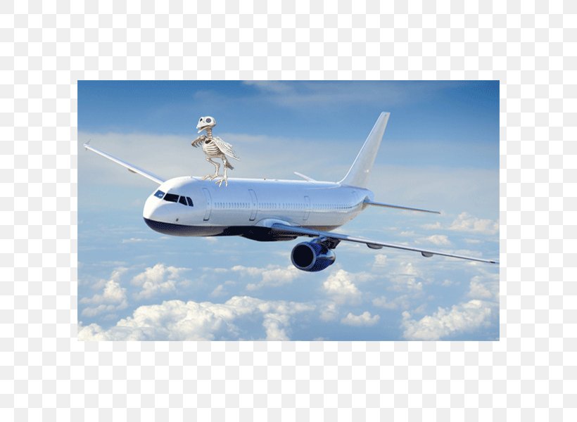 Airplane Fixed-wing Aircraft Flight Aviation, PNG, 600x600px, Airplane, Aerospace Engineering, Air Travel, Airbus, Airbus A330 Download Free
