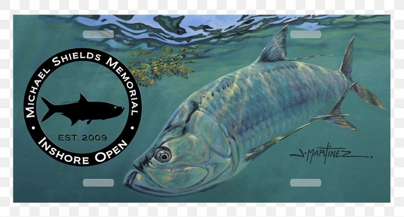 Fishing Tackle Shark Recreational Fishing Fishing Reels, PNG, 936x504px, Fishing Tackle, Biology, Budget, Ecosystem, Fauna Download Free