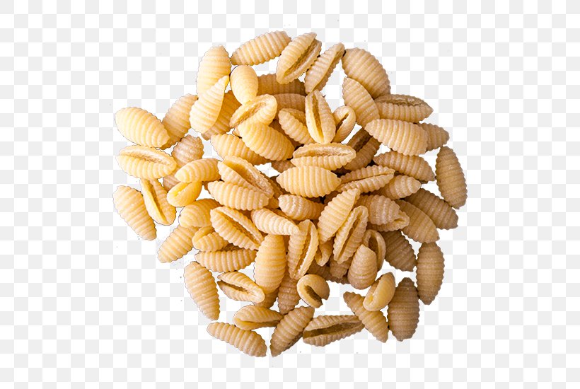 Pasta Gnocchi Vegetarian Cuisine Durum Food, PNG, 550x550px, Pasta, Buckwheat, Cereal, Commodity, Conchiglie Download Free