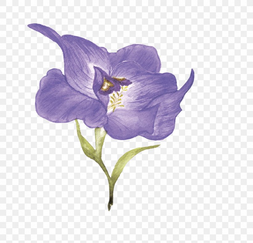 Purple Flower Download, PNG, 940x904px, Purple, Bellflower Family, Designer, Flora, Flower Download Free