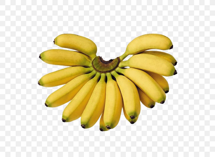 Saba Banana Cooking Banana Pisang Goreng Lady Finger Banana, PNG, 600x600px, Saba Banana, Auglis, Banana, Banana Family, Cavendish Banana Download Free