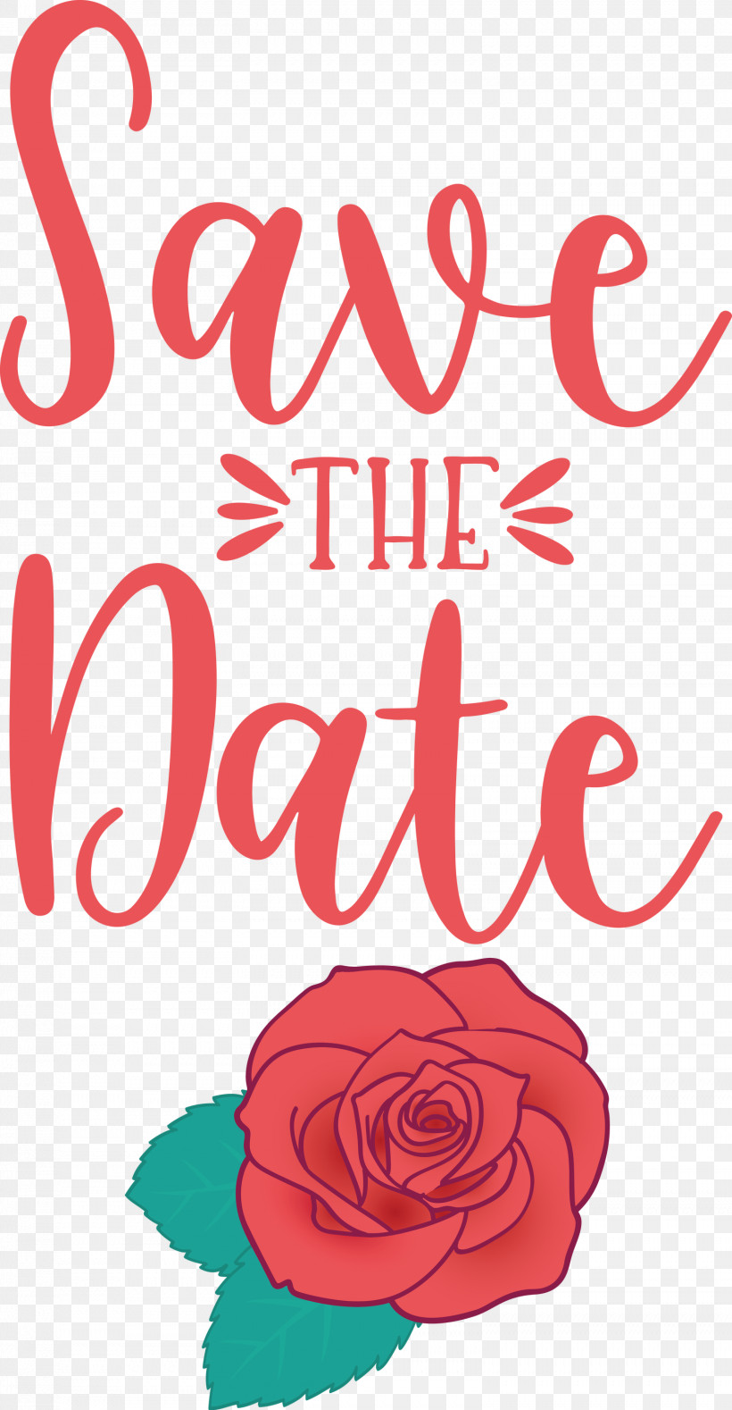 Save The Date Wedding, PNG, 1558x3000px, Save The Date, Cut Flowers, Floral Design, Flower, Garden Download Free