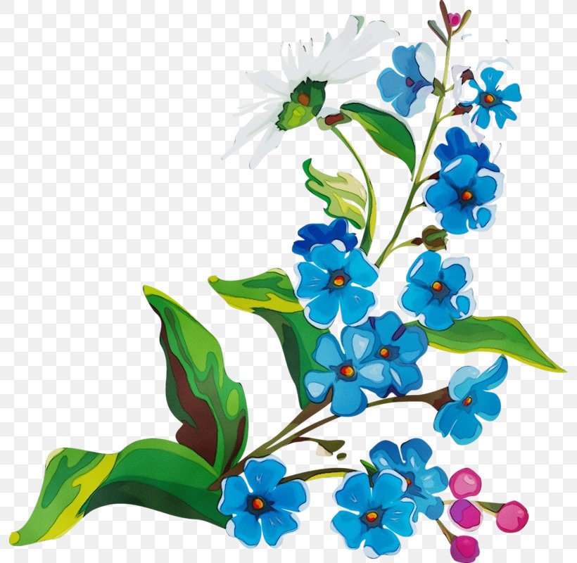 Flower Plant Clip Art Flowering Plant Forget-me-not, PNG, 794x800px, Watercolor, Borage Family, Branch, Flower, Flowering Plant Download Free