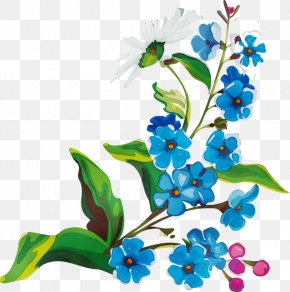 Borage Family Branch - Flower Plant Clip Art Flowering Plant Forget-me-not PNG