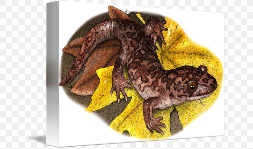 Giant Salamanders Pacific Giant Salamander Art Reptile, PNG, 650x483px, Salamander, Art, Artist, Brand, Fauna Download Free