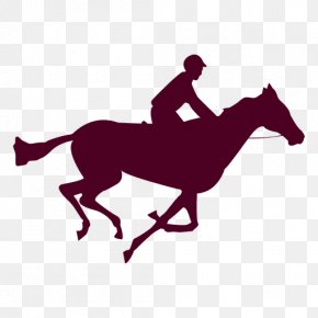 Horse - Horse The Human Figure In Motion Gallop Photography PNG
