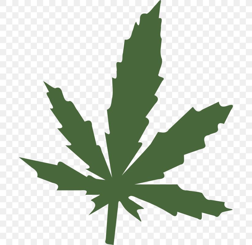 Medical Cannabis Leaf Blanket Clip Art, PNG, 697x800px, Cannabis, Blanket, Cannabinoid, Cannabis Smoking, Carpet Download Free