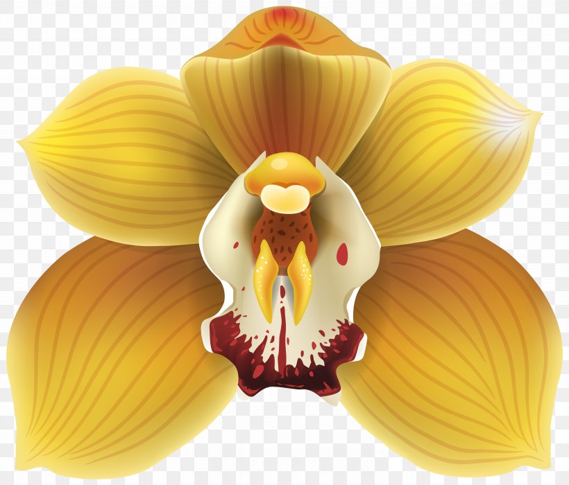 Orchids Yellow Clip Art, PNG, 6000x5122px, Cypripedium Parviflorum, Brassolaeliocattleya, Cattleya Orchids, Cypripedium, Drawing Download Free