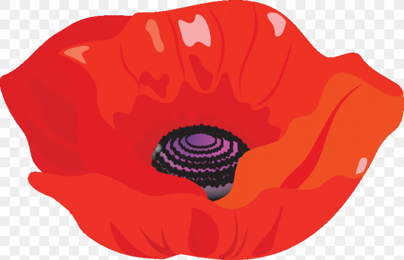 Red Poppy Flower Poppy Flower, PNG, 843x544px, Red Poppy Flower, Petal, Poppy Flower Download Free