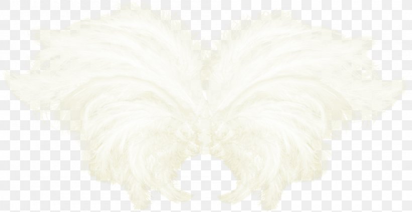 Angle, PNG, 1900x982px, White Download Free