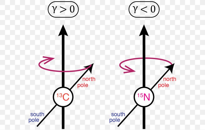 Gyromagnetic Ratio Nuclear Magnetic Resonance Spectroscopy Insensitive Nuclei Enhanced By Polarization Transfer, PNG, 600x521px, Ratio, Area, Atomic Nucleus, Carbon13 Nuclear Magnetic Resonance, Diagram Download Free