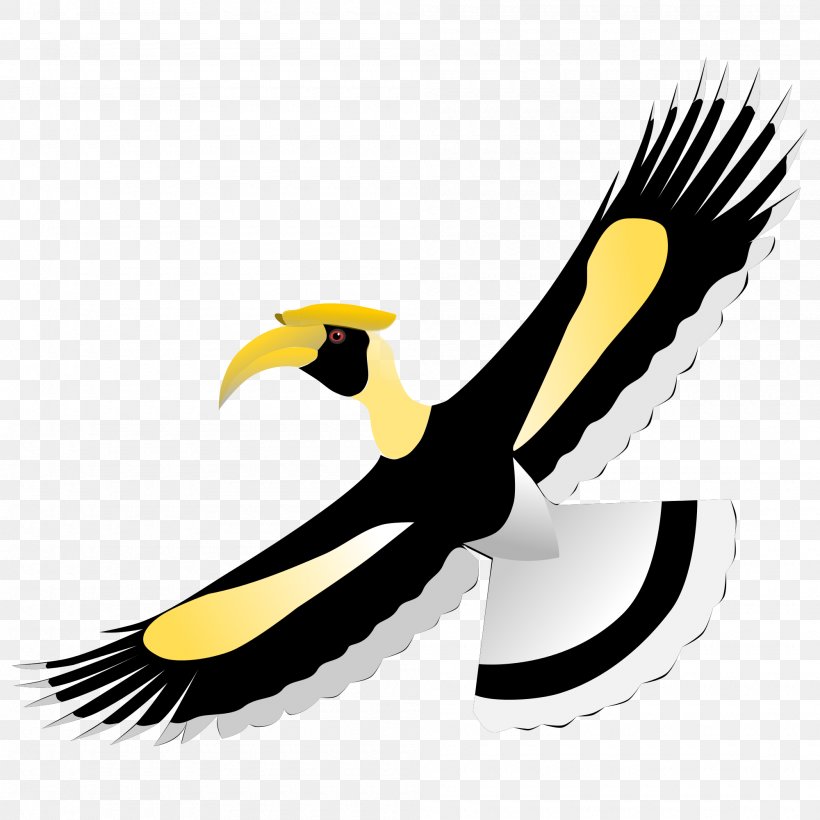 Hornbill Bird Clip Art, PNG, 2000x2000px, Hornbill, Beak, Bird, Bird Of Prey, Eagle Download Free