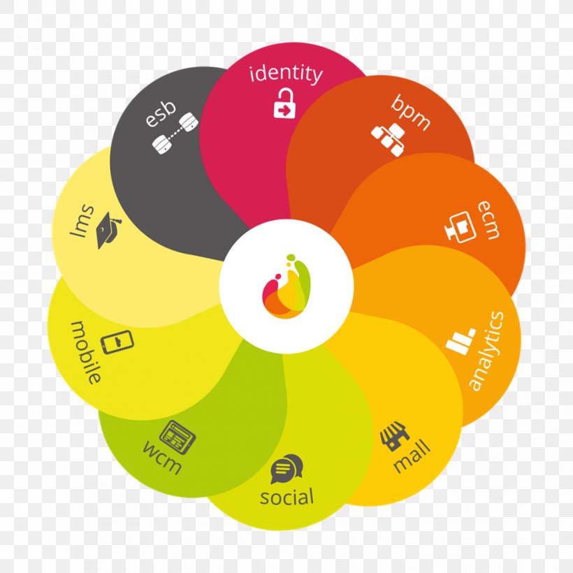 Business Fluig Computer Software Management, PNG, 981x981px, Business, Cloud Computing, Compact Disc, Computer Software, Computing Platform Download Free