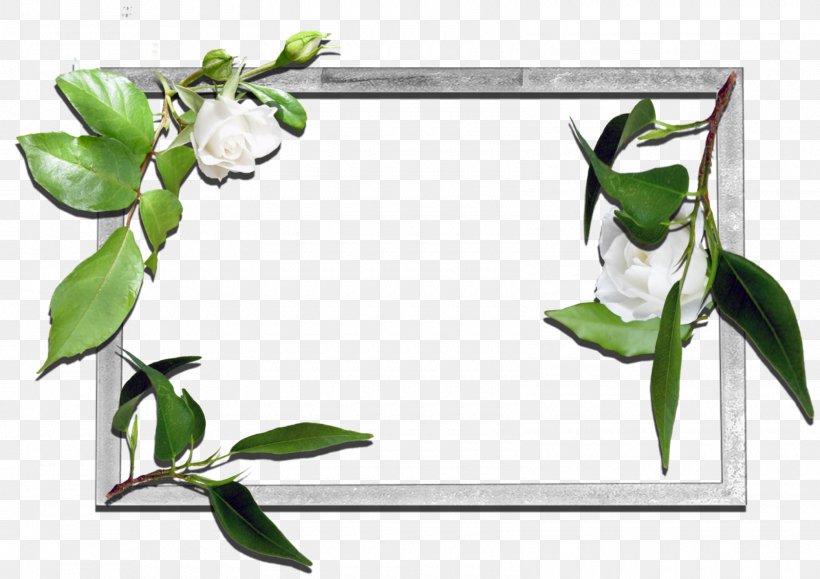 Picture Frames Desktop Wallpaper, PNG, 1600x1130px, Picture Frames, Bed Frame, Bed Size, Branch, Cut Flowers Download Free