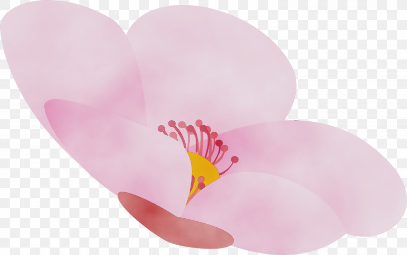 Pink Petal Flower Heart Plant, PNG, 3000x1886px, Cherry Flower, Anthurium, Floral, Flower, Heart Download Free