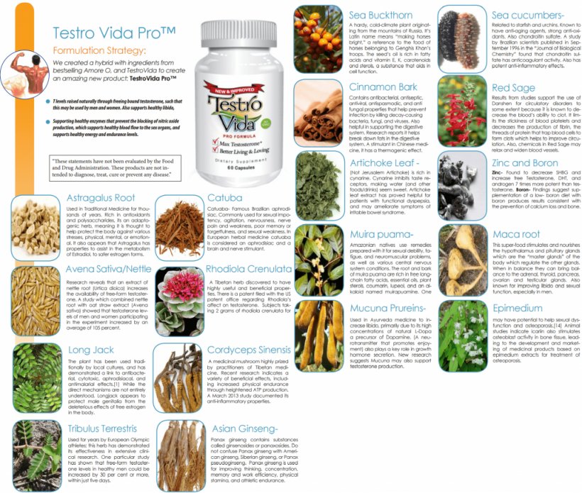 Dietary Supplement The Delgado Protocol For Health Testosterone Life Extension, PNG, 1024x869px, Dietary Supplement, Acne, Adrenal Fatigue, Dihydrotestosterone, Disease Download Free
