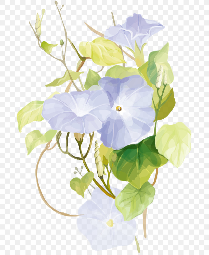 Flower White Petal Plant Morning Glory, PNG, 695x1000px, Flower, Anthurium, Beach Moonflower, Bouquet, Cut Flowers Download Free
