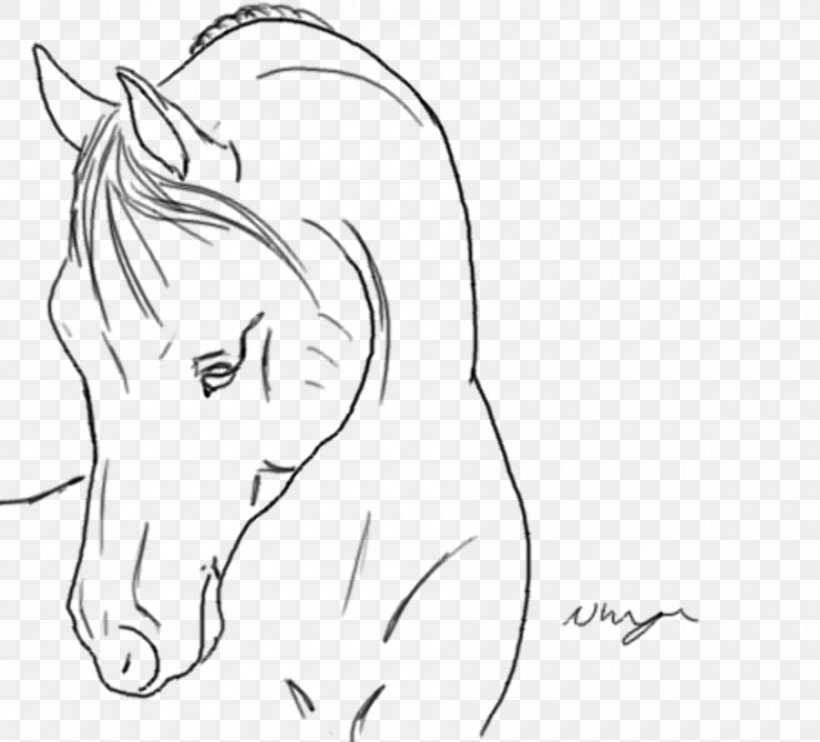 Horse Ear Drawing Line Art Sketch, PNG, 900x815px, Watercolor, Cartoon, Flower, Frame, Heart Download Free