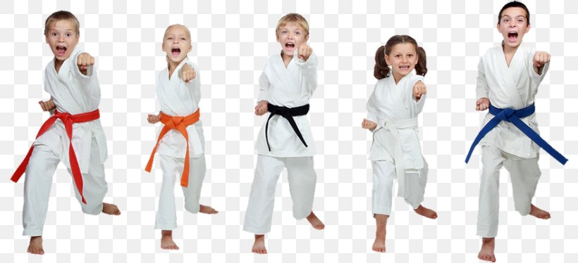 Karate Dobok Taekwondo Martial Arts Sport, PNG, 800x374px, Watercolor, Cartoon, Flower, Frame, Heart Download Free