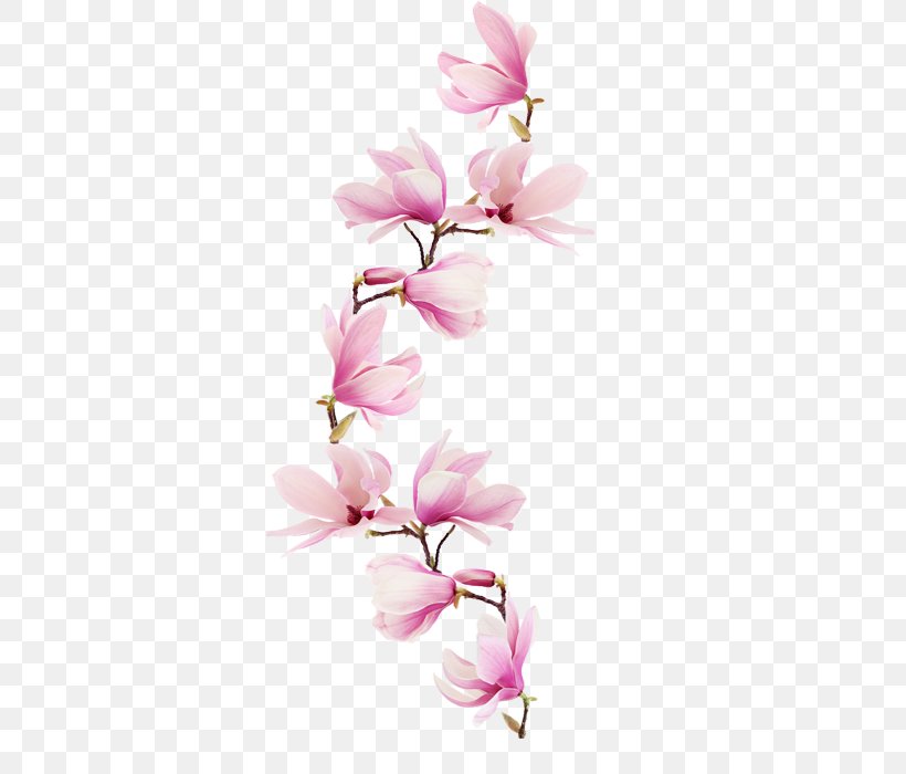 Magnolia Paper Flower Watercolor Painting Floral Design, PNG, 450x700px, Magnolia, Art, Blossom, Branch, Cherry Blossom Download Free