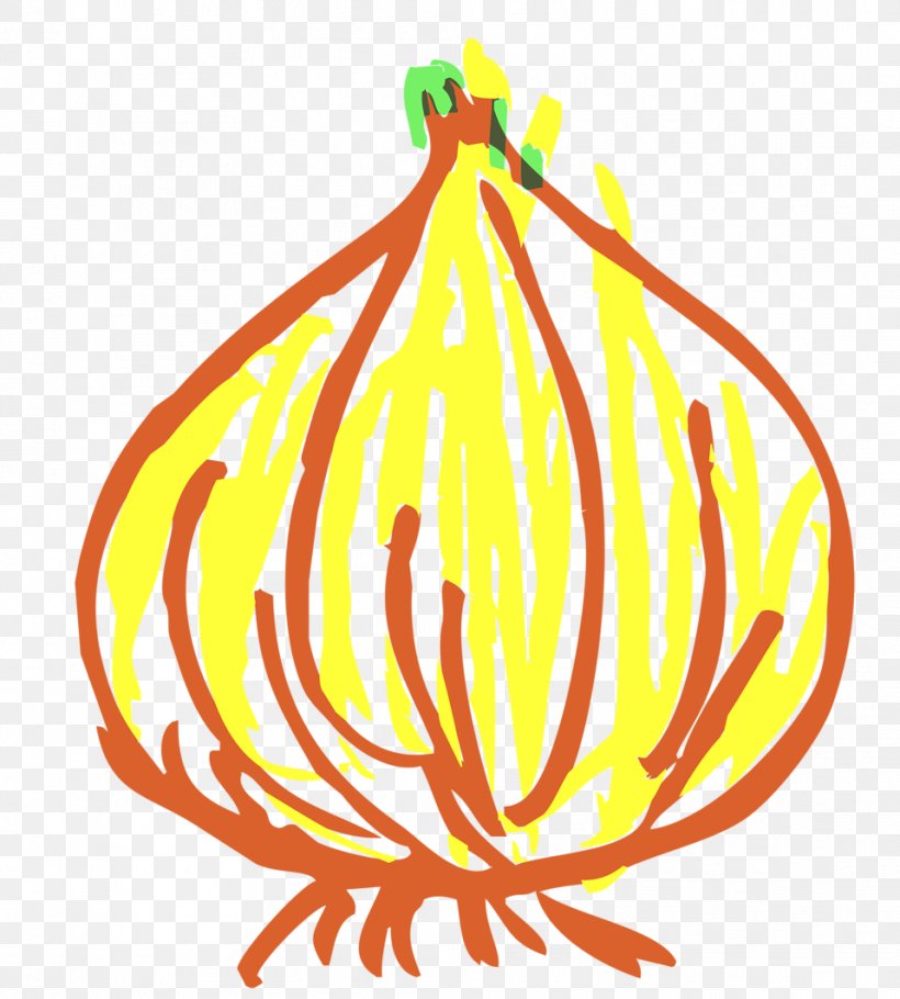 Onion Clip Art, PNG, 958x1064px, Onion, Artwork, Drawing, Flower, Flowering Plant Download Free