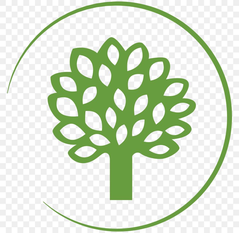 3 Romashki Tree Autograph Foliages Appliqué, PNG, 800x800px, Tree, Applique, Area, Artikel, Autograph Foliages Download Free