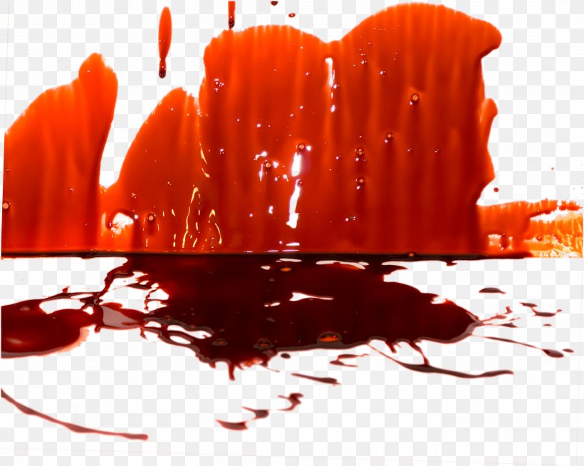 Blood Clip Art, PNG, 2732x2181px, Blood, Binary Large Object, Blood Plasma, Illustration, Image File Formats Download Free