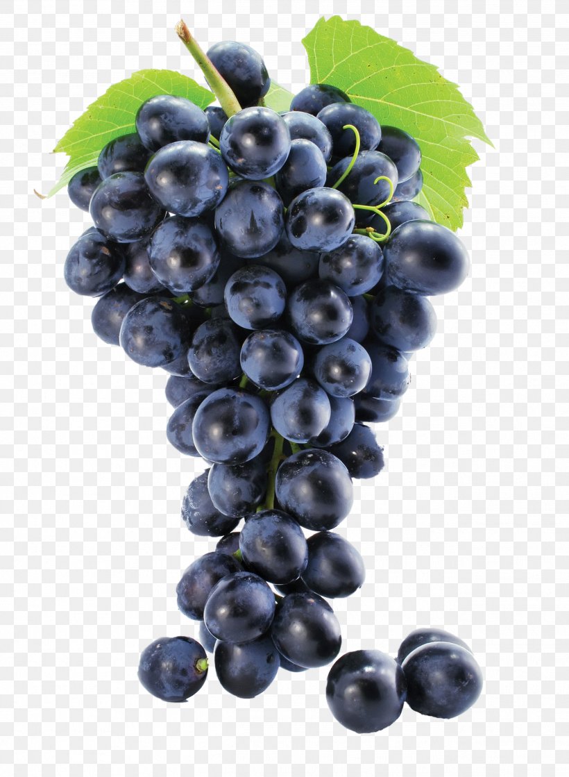 Common Grape Vine Grape Leaves Grape Seed Extract Must, PNG, 2536x3462px, Common Grape Vine, Amazon Grape, Berry, Bilberry, Blueberry Download Free
