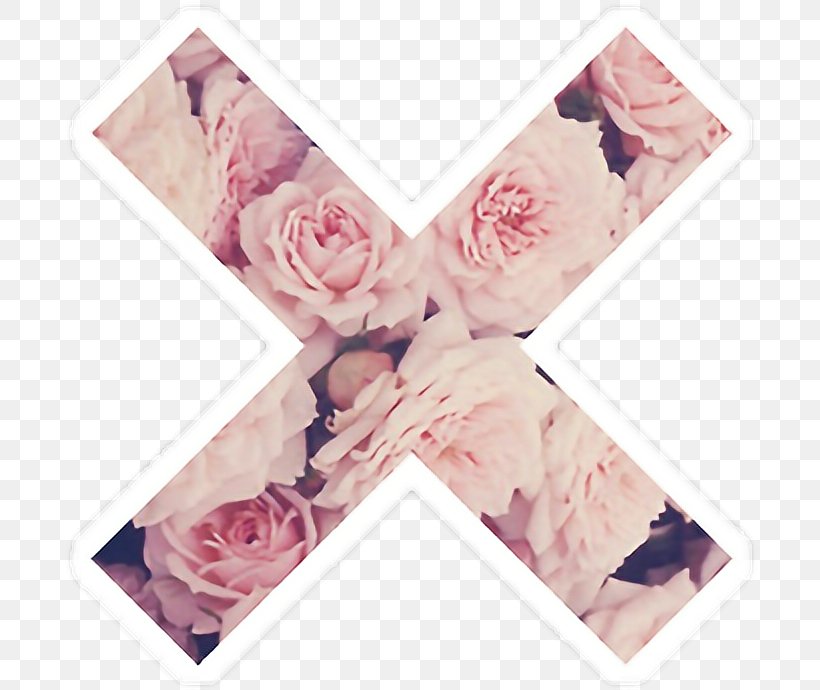 Desktop Wallpaper Rose Pink Flowers, PNG, 694x690px, Rose, Blue, Display Resolution, Drawing, Flower Download Free