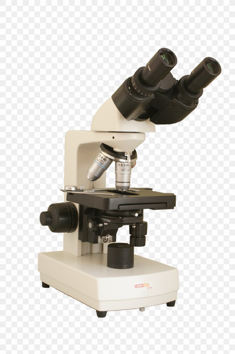 Optical Microscope Light Binoculars Microscopio Compuesto, PNG, 2064x3104px, Microscope, Binocular Vision, Binoculars, Bresser, Darkfield Microscopy Download Free