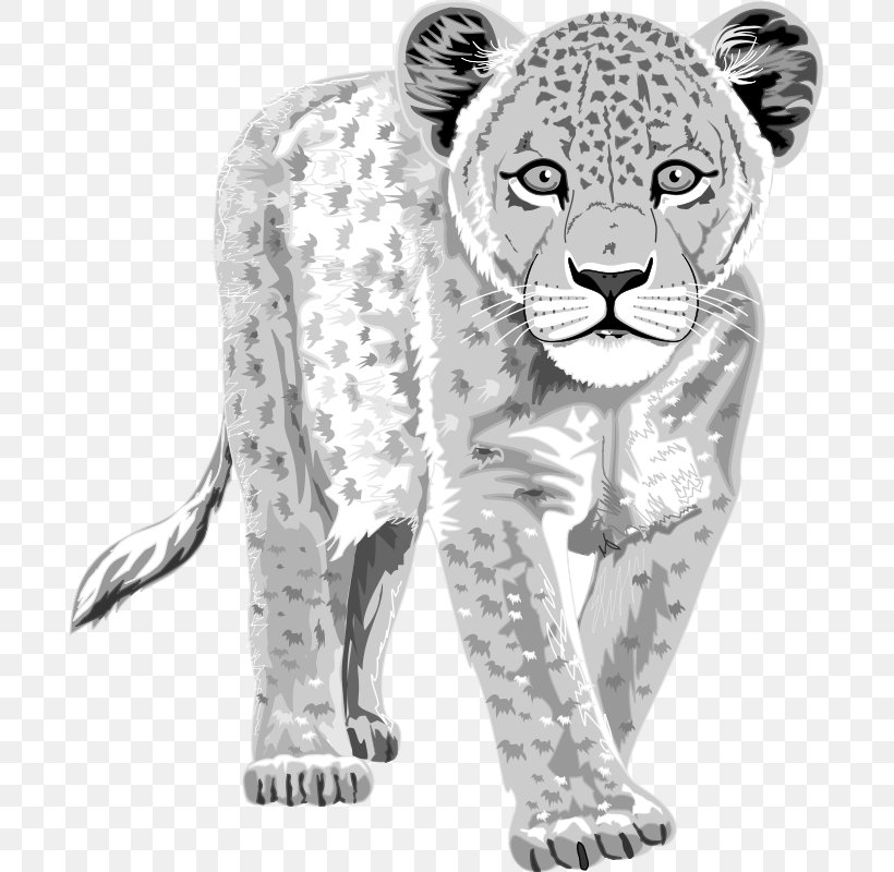 Snow Leopard Tiger Clip Art, PNG, 692x800px, Leopard, Animal Figure, Big Cat, Big Cats, Black And White Download Free