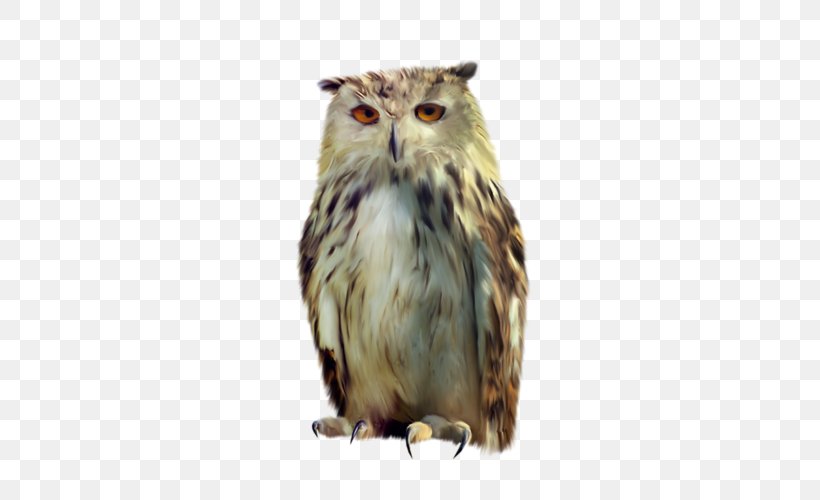 Tawny Owl Bird, PNG, 500x500px, Owl, Beak, Bird, Bird Of Prey, Concepteur Download Free