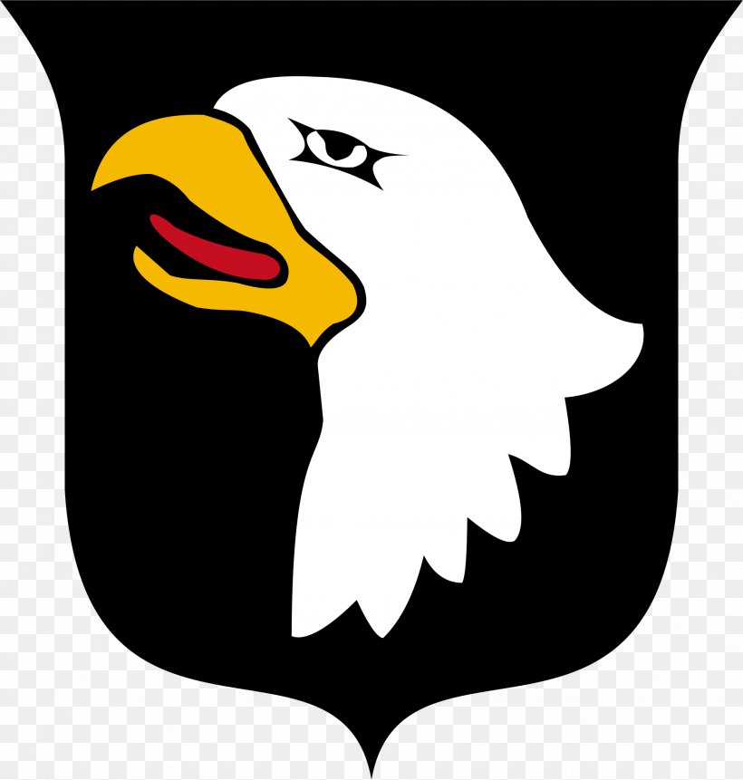 United States Army 101st Airborne Division Airborne Forces Air Assault