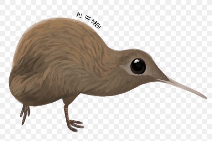 Goose Cygnini Duck Bird Beak, PNG, 1200x800px, Goose, Anatidae, Beak, Bird, Cygnini Download Free