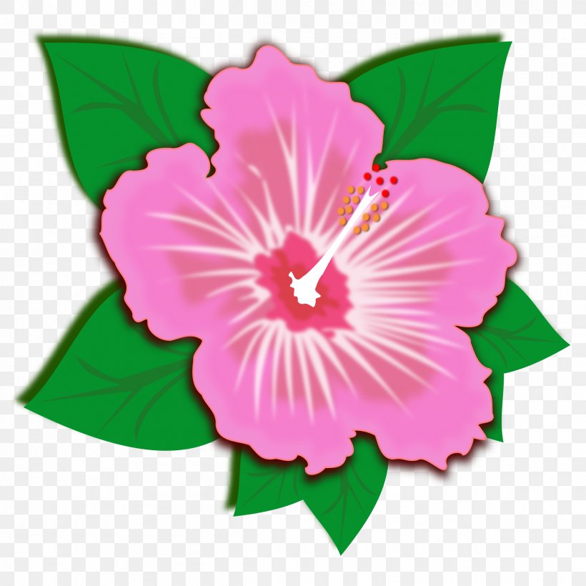 Hibiscus Clip Art, PNG, 2400x2400px, Hibiscus, Annual Plant, Drawing, Flower, Flowering Plant Download Free