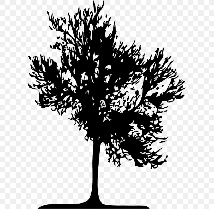 Twig Yolo Hostel Medellín Silhouette Tree, PNG, 800x800px, Twig, Black And White, Branch, Deciduous, Drawing Download Free