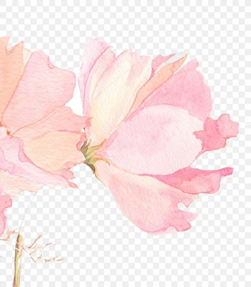 Watercolour Flowers Watercolor Painting Wallpaper, PNG, 999x1144px, Watercolour Flowers, Art, Blossom, Drawing, Floral Design Download Free