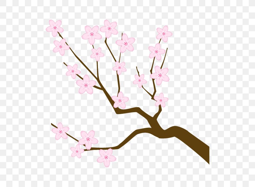 Cherry Blossom Branch Illustration Twig Tree, PNG, 600x600px, Cherry Blossom, Blossom, Branch, Cerasus, Cut Flowers Download Free