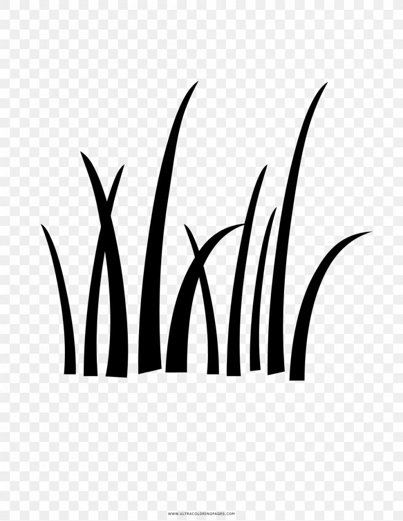 Drawing Lawn Ornamental Grass, PNG, 1000x1294px, Drawing, Black And White, Coloring Book, Commodity, Fescues Download Free