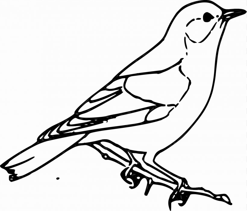 Sparrow Bird Drawing Clip Art, PNG, 1600x1373px, Sparrow, Art, Artwork, Beak, Bird Download Free