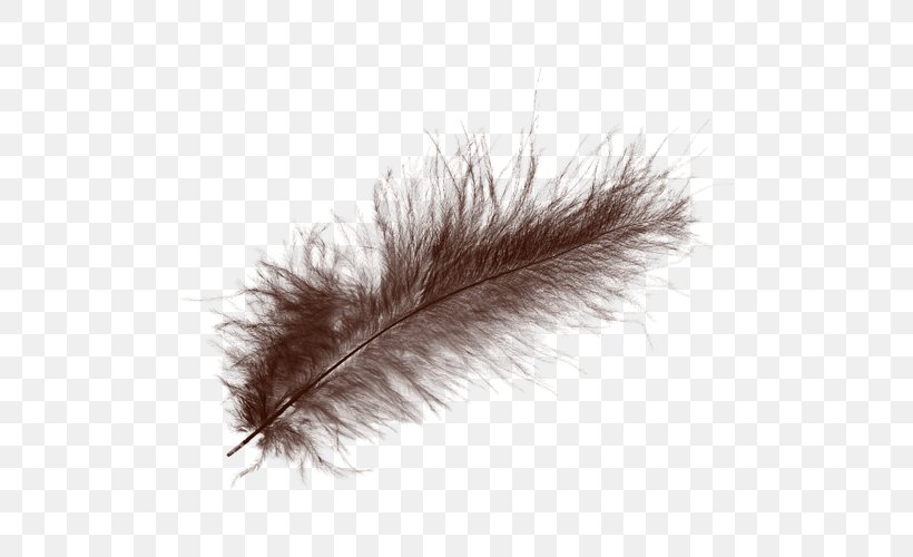 White Feather Raster Graphics, PNG, 500x500px, Feather, Black, Black And White, Color, Designer Download Free